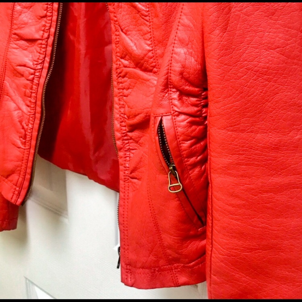 Jacket - Picture 2 of 3